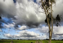 格拉夫夏普VS海牙，这场荷乙对决的比分会如何？