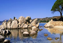 亚洲杯沙特对阵泰国，谁能更胜一筹？